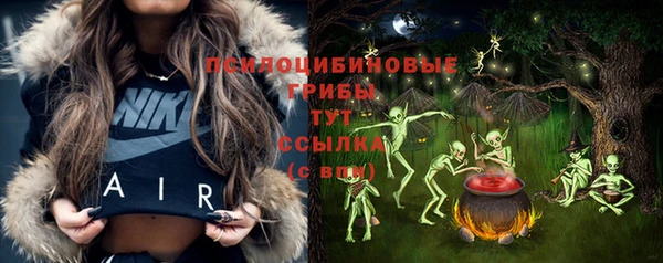 соль курить ск Алзамай