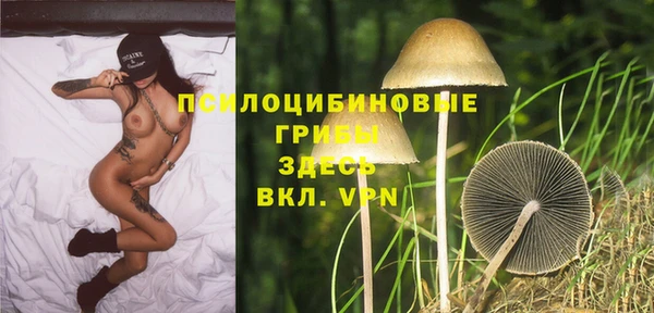 a pvp Алексеевка