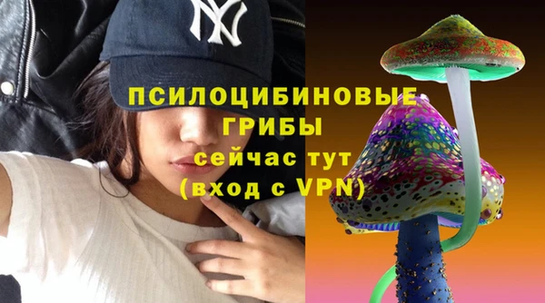 соль курить ск Алзамай