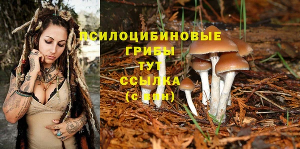 трава Алексин