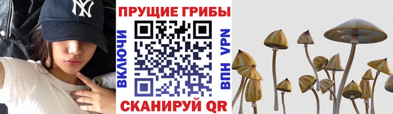Галлюциногенные грибы ЛСД Суджа